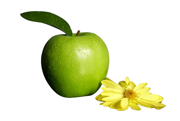 Meistä - mehustamo.com