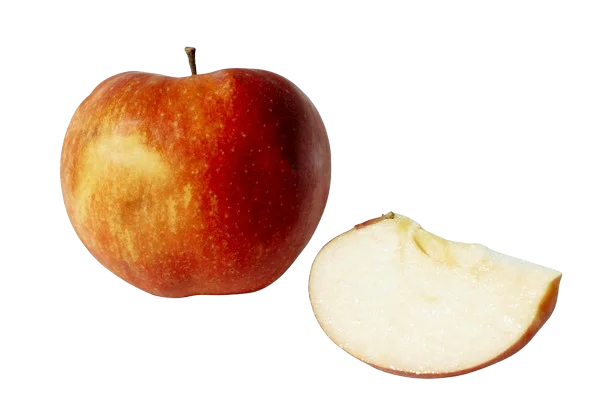 Tarhurien Mehustamo - Hedelmien puristuspalvelu